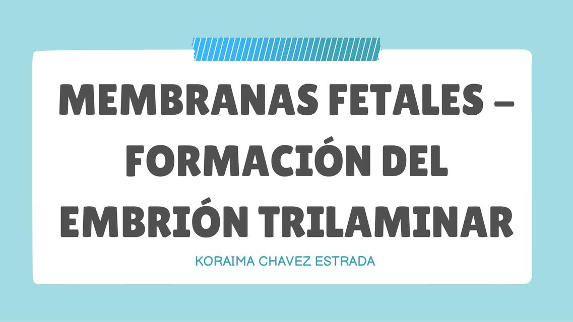 Membranas Fetales- Formación del Embrión Trilaminar 