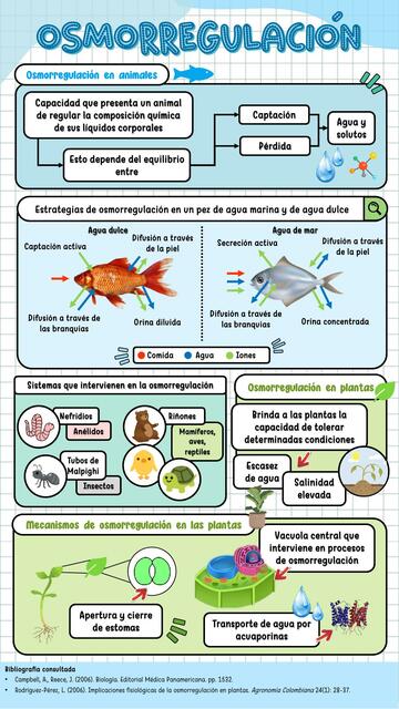 Osmorregulación