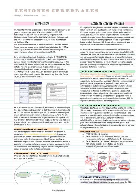 Lesiones Cerebrales