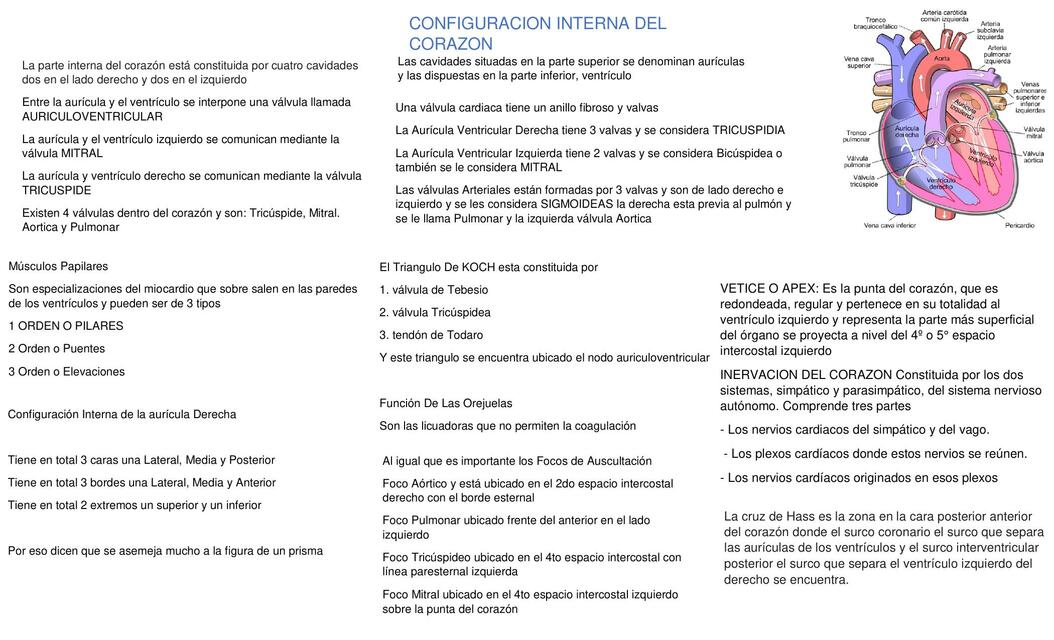 Flujograma de Configuración Interna