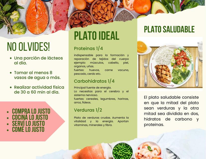 Triptico El Plato Saludable Plato Harvard Adulto 4660