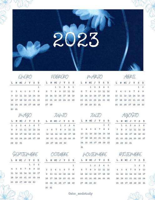 Calendario Índigo gabs_medstudy uDocz