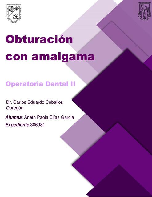 Obturación con Amalgama