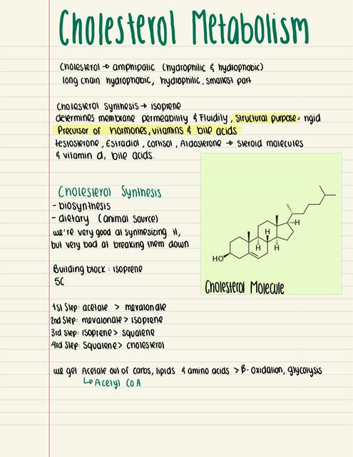 Cholesterol Metabolism and Transport Biochem