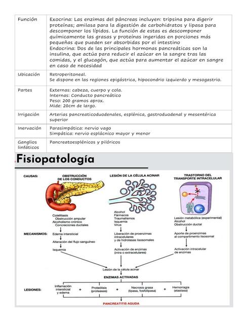 Pancreatitis 