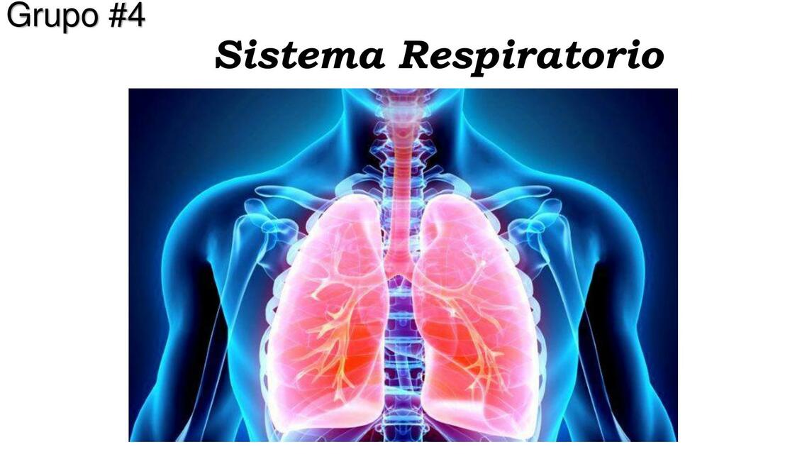  Sistema Respiratorio 