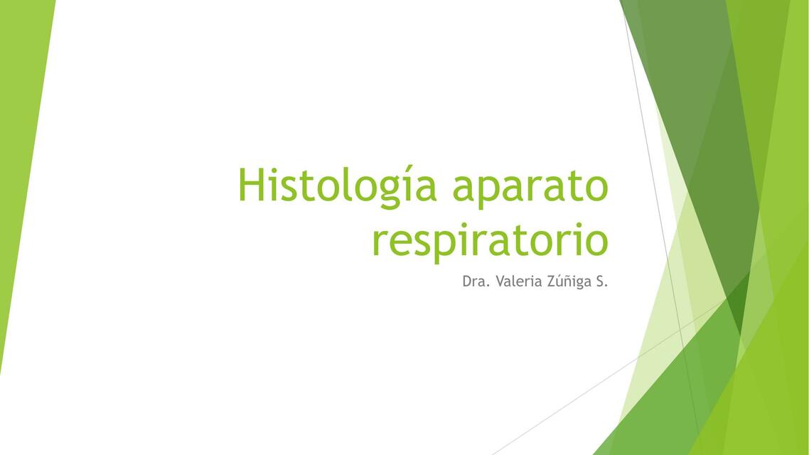 Histología Aparato Respiratorio 