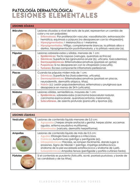 Lesiones Elementales Dermatolog a Madiam Torres UDocz