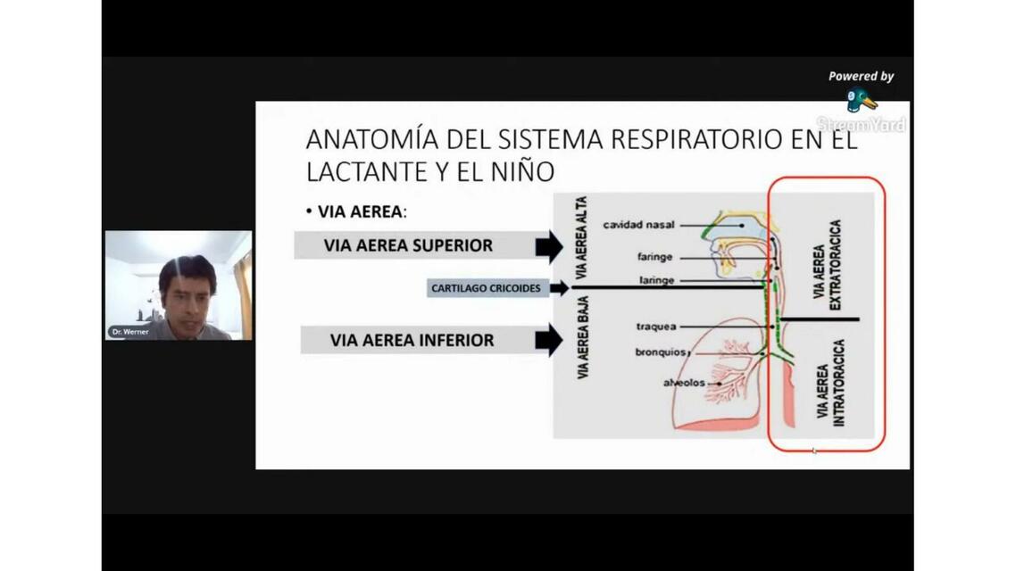 Infecciones Respiratorias