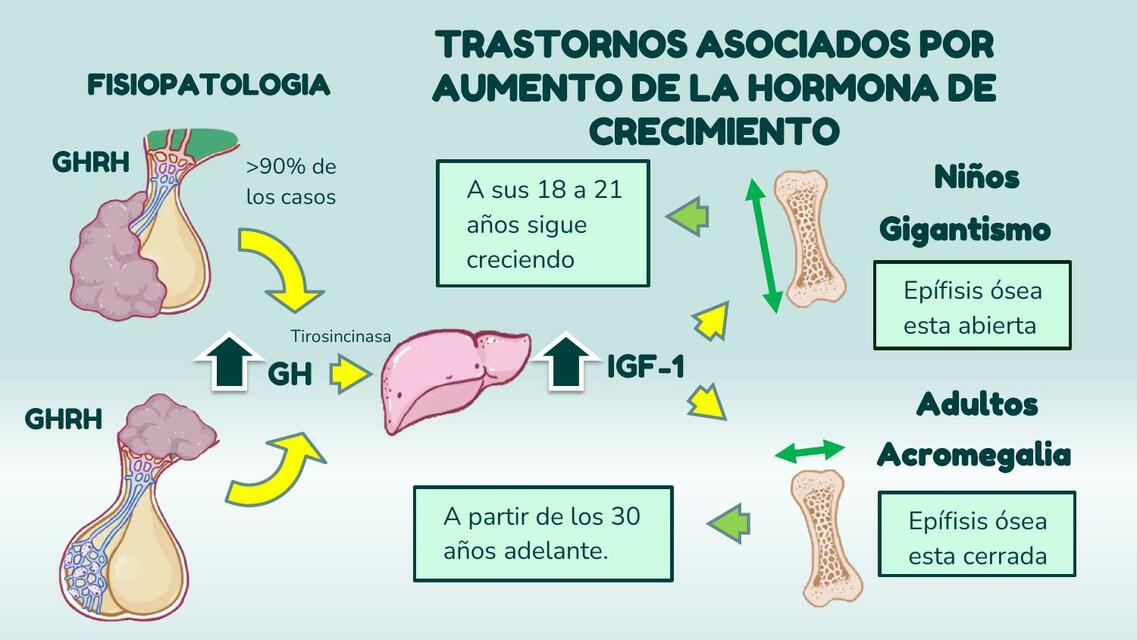 Trastornos Asociados por Aumento de la Hormona de Crecimiento 