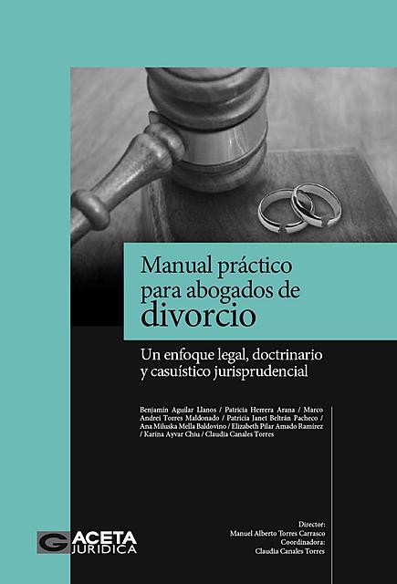 Manual practico para abogados de divorcio pdf