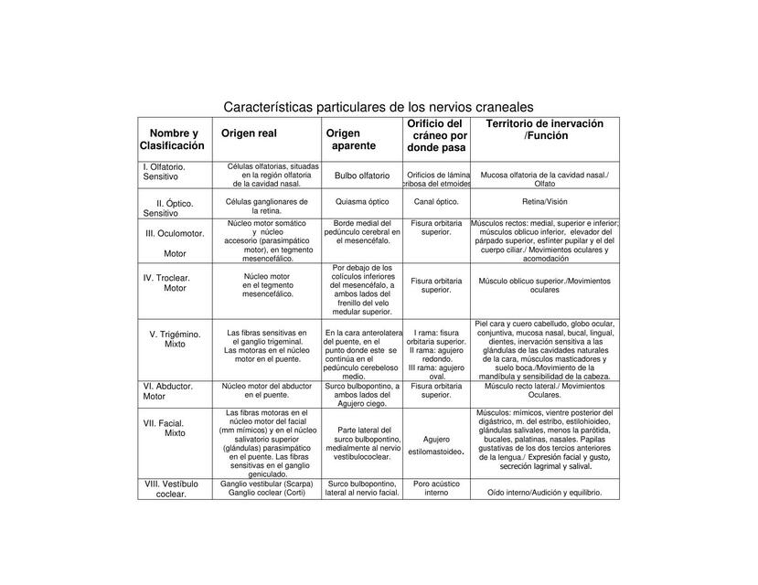 Nervios Craneales 