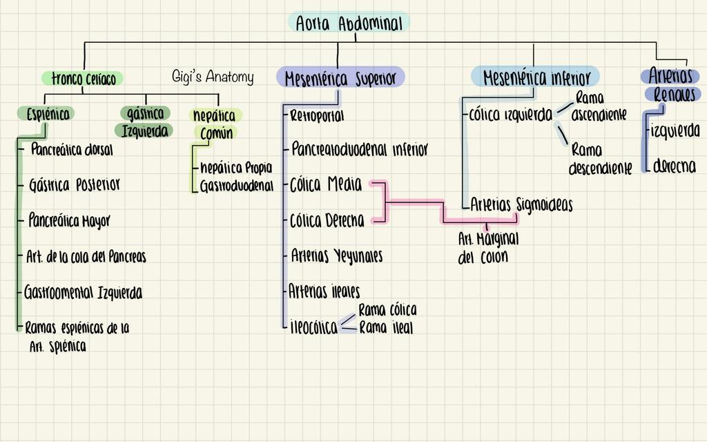 Principales Arterias del Abdomen