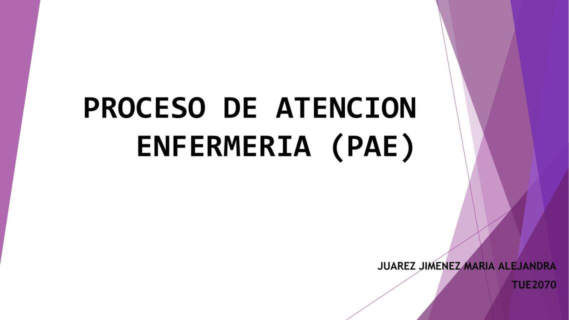 Proceso de Atención Enfermería 