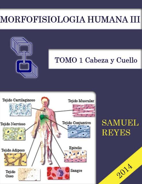 Morfofisiología 3 Cabeza y Cuello