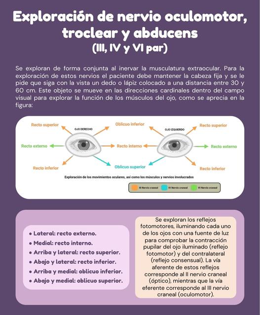 Exploración de Nervio Oculomotor, Troclear y Abducens - III, IV y VI par craneal