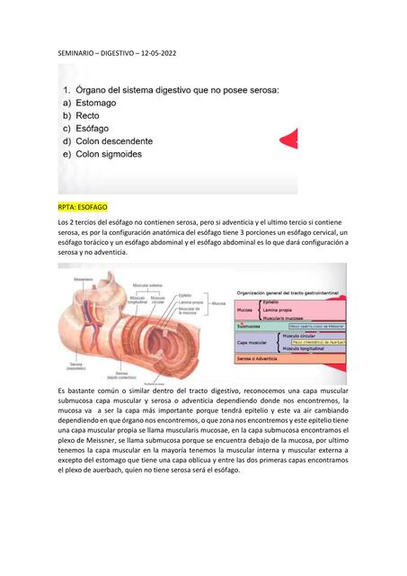 Seminario Digestivo