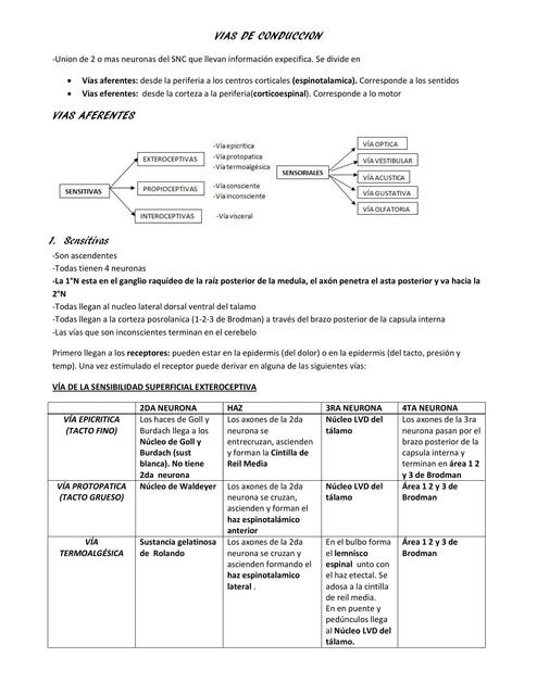 Vías de Conducción