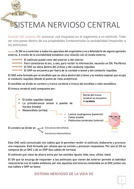 Sistema Nervioso Central Kinepro Udocz