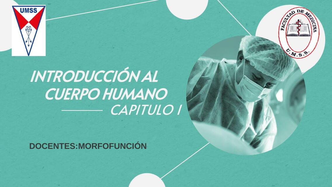 Introducción al cuerpo humano