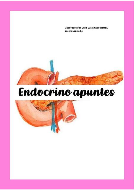 Fijas de endocrino