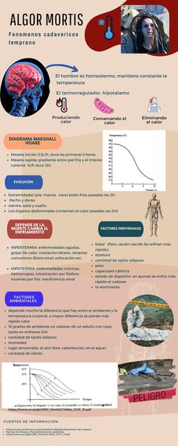 Enfriamiento cadavérico