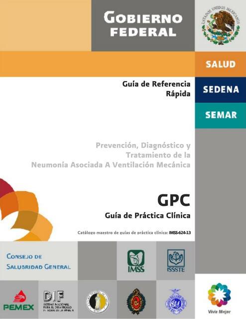 Prevención, Diagnóstico y Tratamiento de la Neumonía Asociada A Ventilación Mecánica