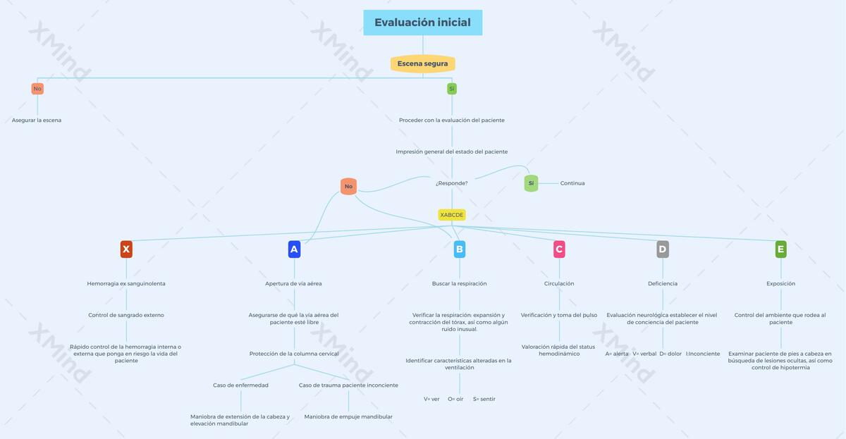 Evaluación Inicial 