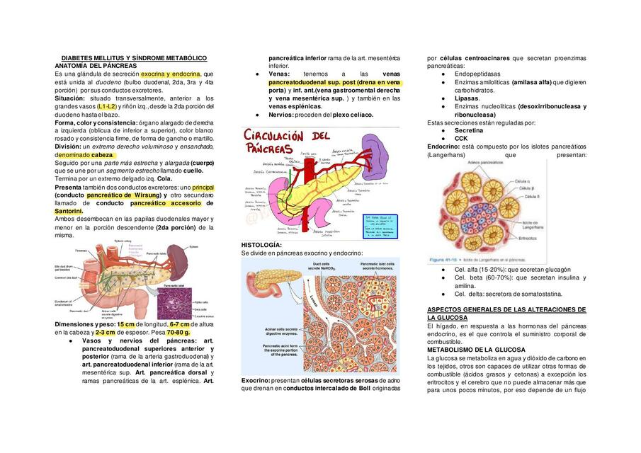 Diabetes Mellitus y Síndrome Metabólico 