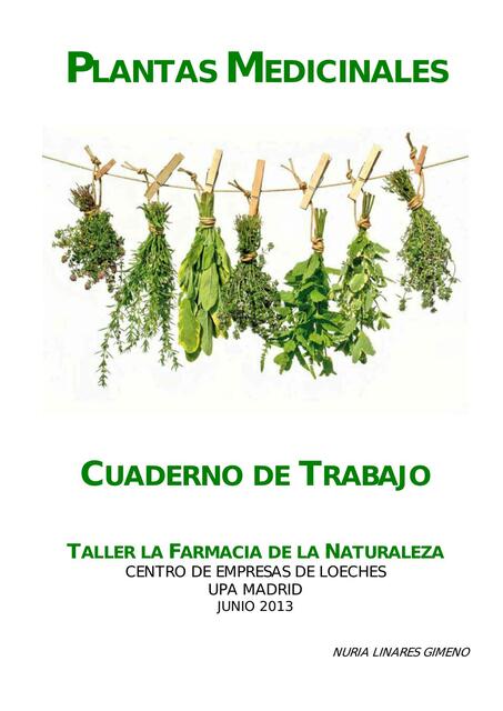 Plantas Medicinales- Cuaderno de Trabajo 