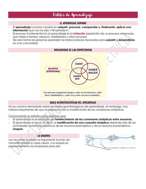 Estilos de Aprendizaje