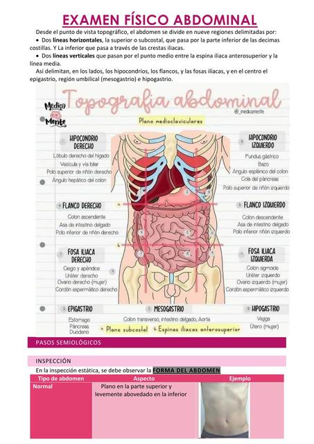 Preguntas Frecuentes sobre Abdominoplastia - Hefzi-Ba Medicina