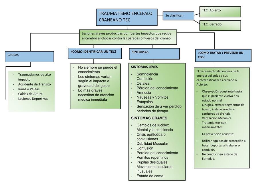 Traumatismo Encefalo Craneano 