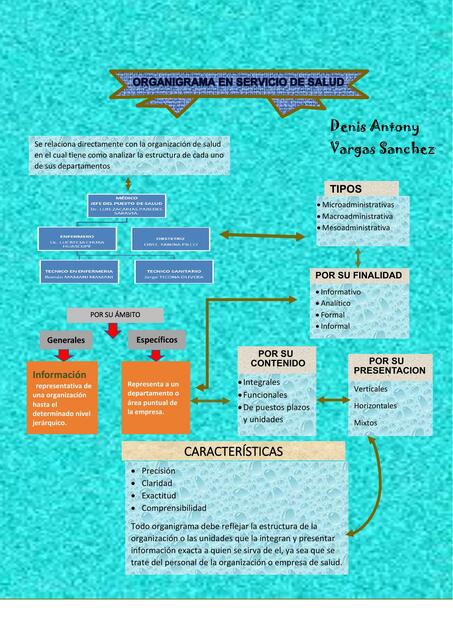 Organigrama en Servicio de Salud 