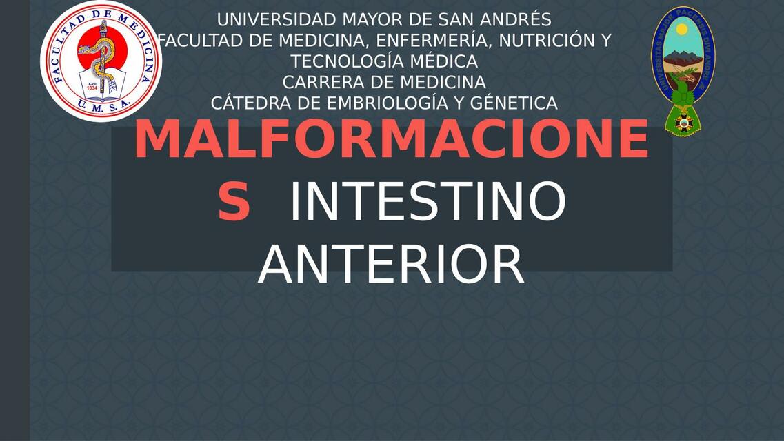 Malformaciones del Intestino Anterior