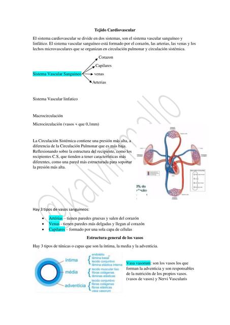 Tejido Cardiovascular