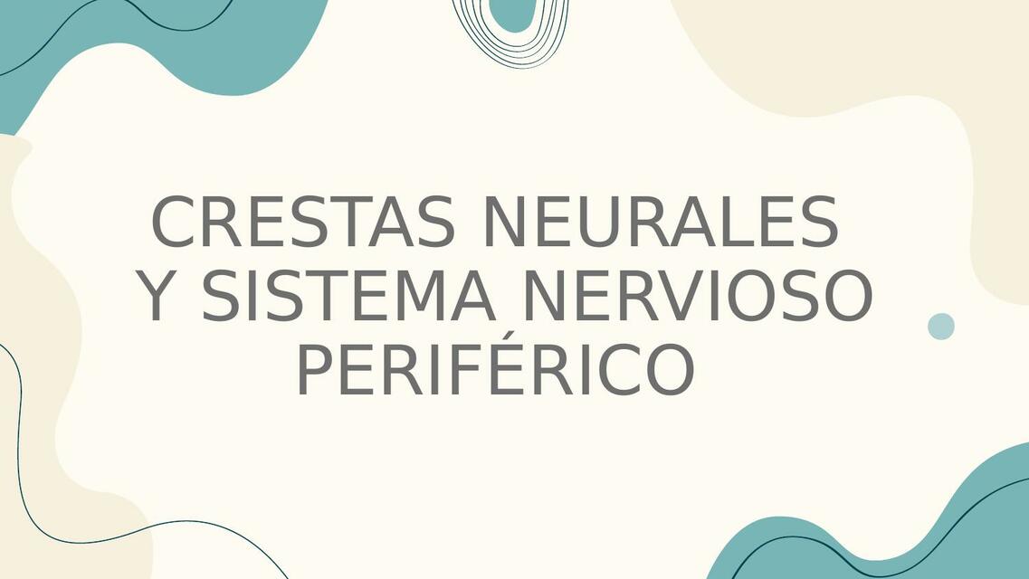 Crestas neurales 