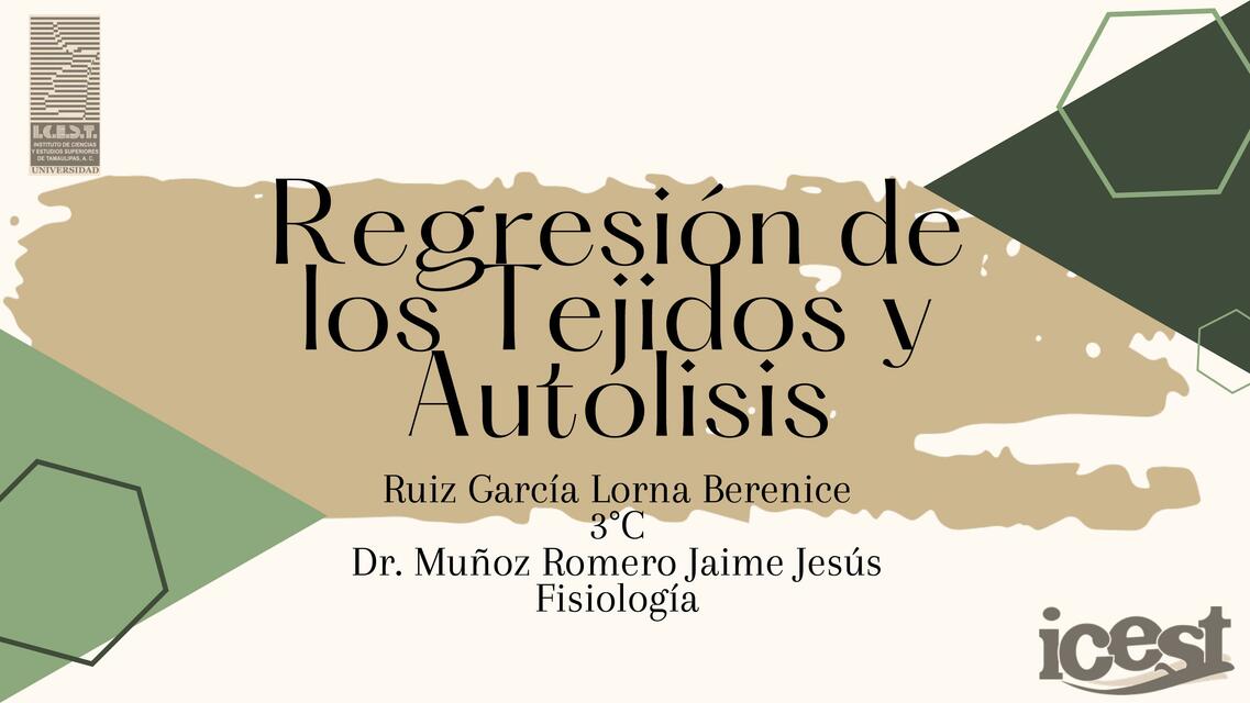 Regresión de los Tejidos y Autolisis