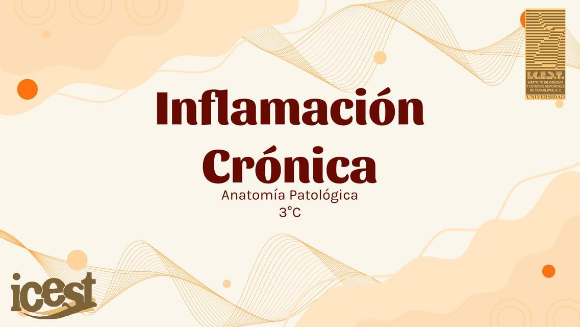 Inflamación Crónica  