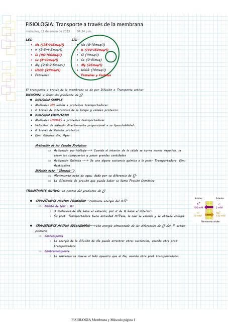 Transporte a través de la membrana