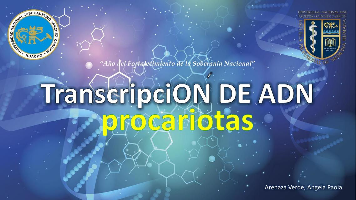 Transcripción del ADN procariota