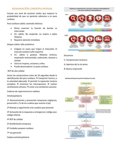 Reanimación Cardiopulmonar