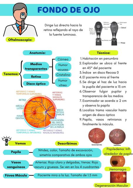 Fondo de ojo 