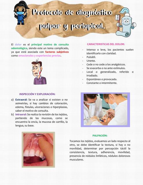 Protocolo de Diagnóstico Pulpar y Periapical