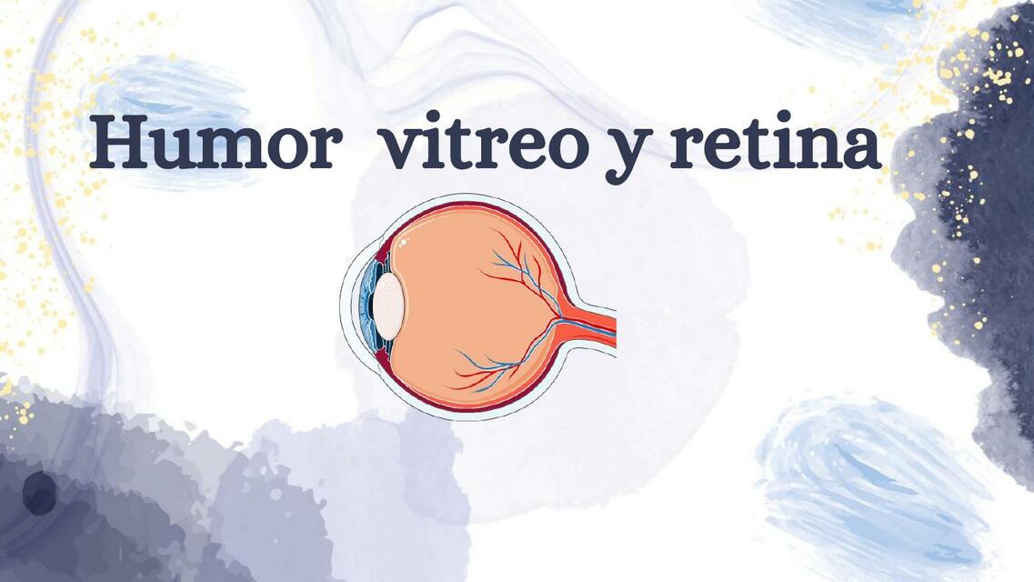 Humor Vitreo y Retina