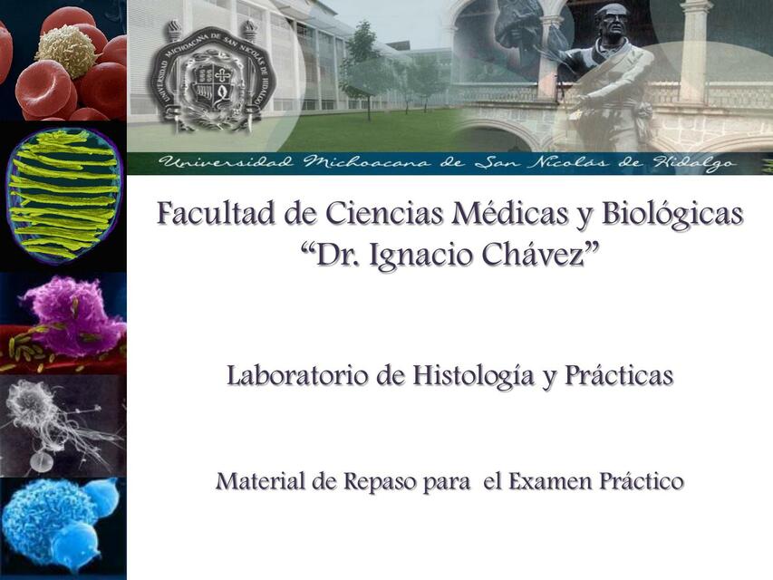 Laboratorio de Histología y Prácticas 