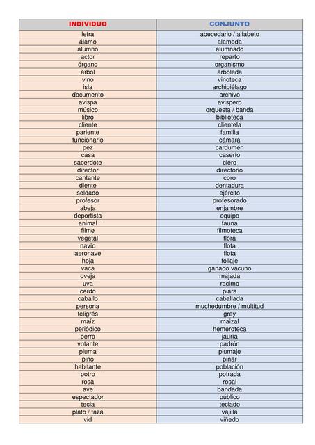 Individuo- Conjunto 