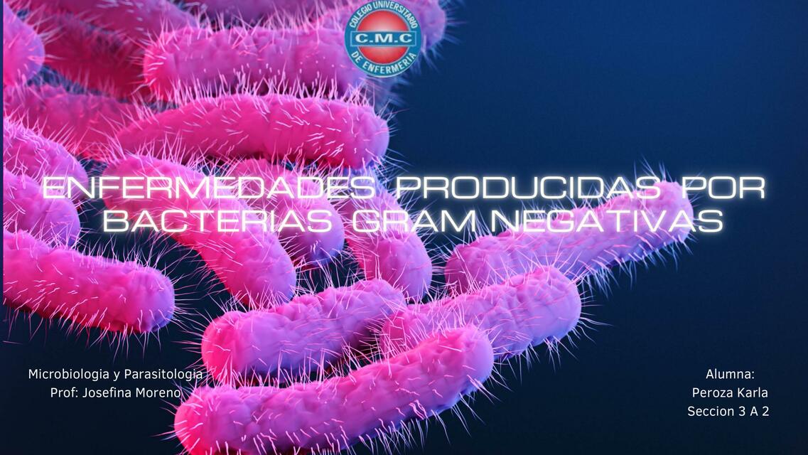 Enfermedades Producidas por Bacterias Gram Negativas