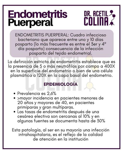 Endometritis Pleuperal uDocz