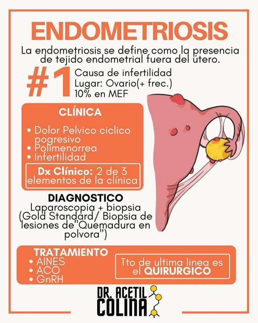 endometriosis-1-yudoc-org-udocz